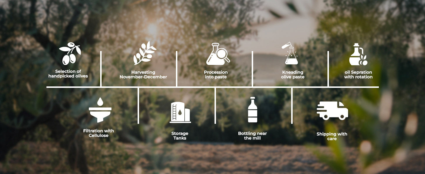 Processo produttivo e di spremitura dell'olio di oliva in Italia